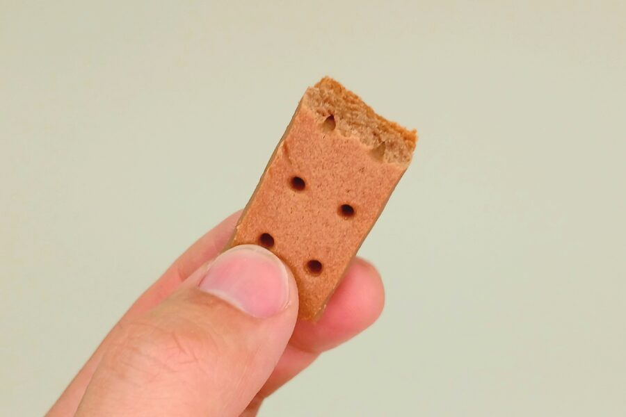 カロリーメイト・断面